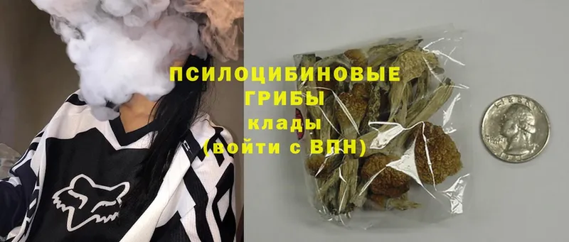 blacksprut ССЫЛКА  Барыш  Псилоцибиновые грибы мухоморы  купить  